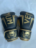 Boxing Training Gloves